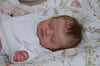 My Store Reborn Baby Dolls Original