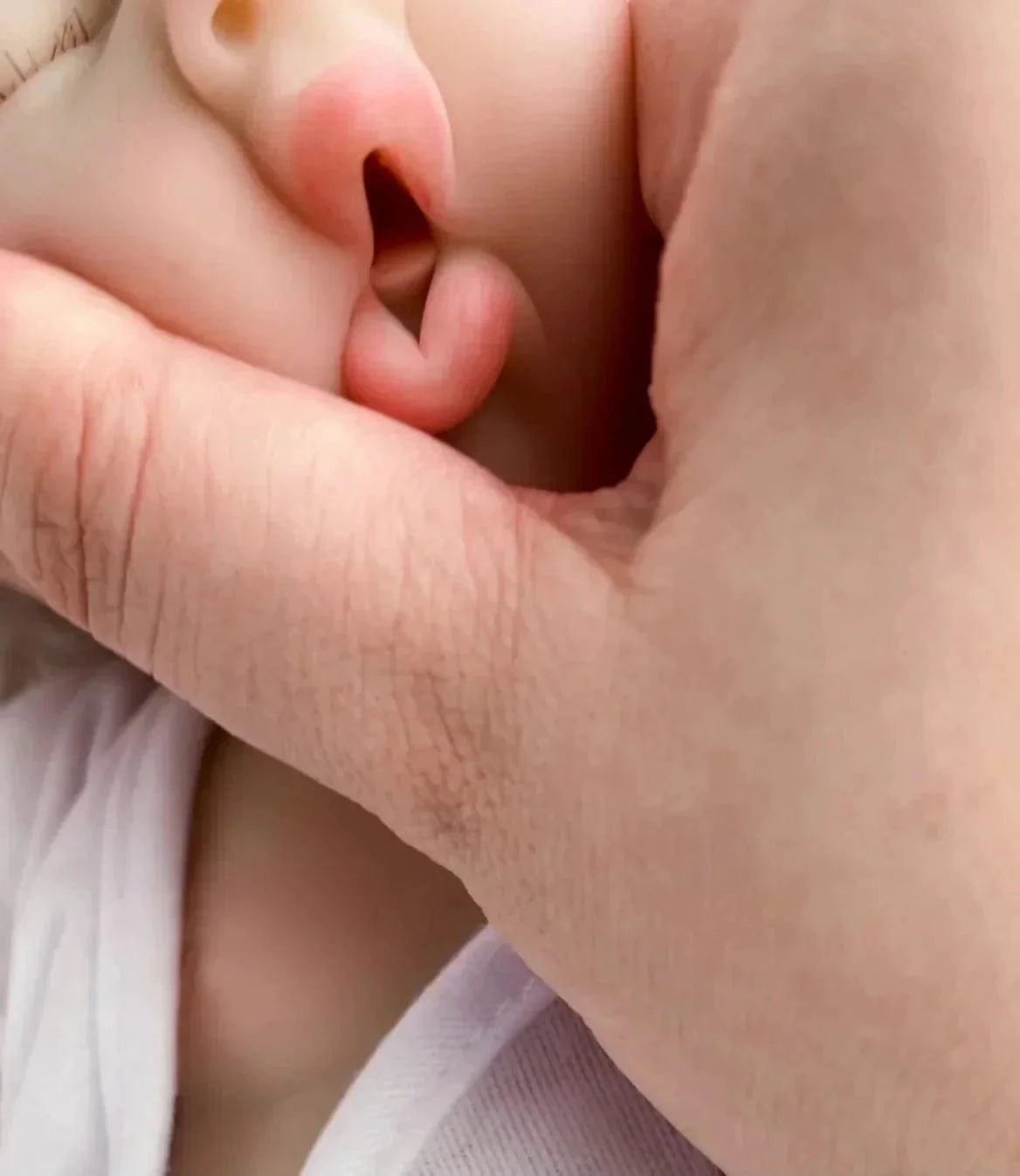 My Store Silicone Reborn Dolls - Loulou